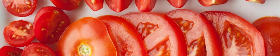 Tomate_Zubehor_Tormek